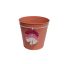 KASPÓ BÁDOG LEVÉL LOGÓ 140-B-534/M D19X18HXD14CM 1DB