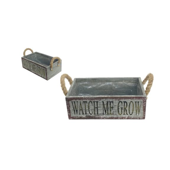 KASPÓ KÖTÉLFÜLŰ WATCH ME GROW 140-W-606 26X15XH9CM 1DB KASPÓ KÖTÉLFÜLŰ WATCH ME GROW 140-W-606 26X15XH9CM 1DB
